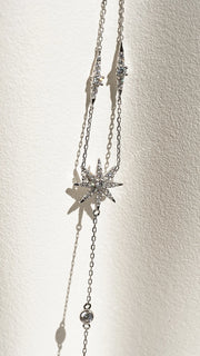 lily flower  silver